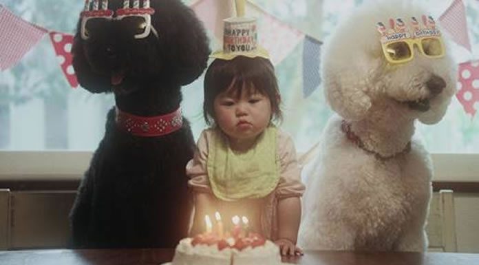 Beck Estrena el Video de ''Fix Me'', Dirigido por Brook Linder