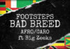 Footsteps & Big Zeeks Presentan Su Nuevo Sencillo "Bad Breed (Afro / Caro)"