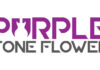 Purple Tone Flower Anuncia "If I Were" Tercer Sencillo De Su Próximo EP
