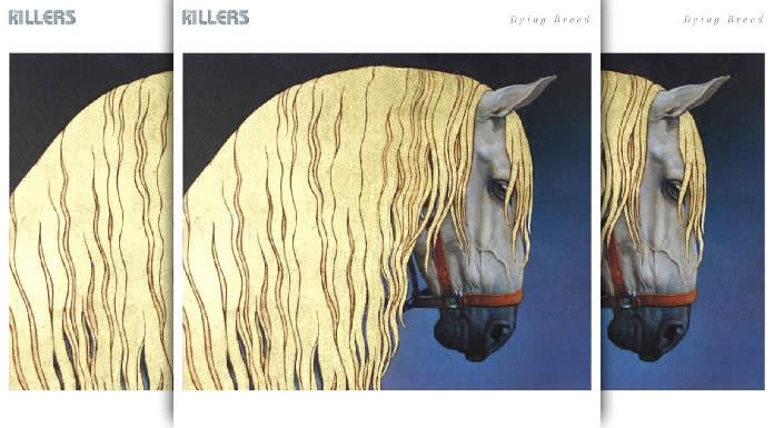 The Killers Presentan Su Nuevo Sencillo Dying Breed