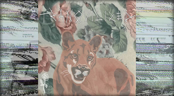 Field Medic Comparte El Gia Margaret Remix De Su Sencillo “Tranquilized” Field Medic Comparte El Gia Margaret Remix De Su Sencillo "Tranquilized"
