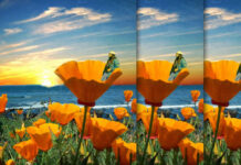 Rexx Life Raj Presenta Su Nuevo EP “California Poppy 2” Rexx Life Raj Presenta Su Nuevo EP "California Poppy 2"