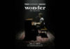 Shawn Mendes Anuncia "Wonder: The Experience" Concierto Benéfico En Vivo