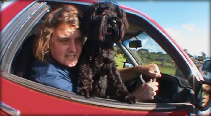 Skegss Presenta Su Nuevo Sencillo Y Video “Bush Tv” Skegss Presenta Su Nuevo Sencillo Y Video "Bush Tv"