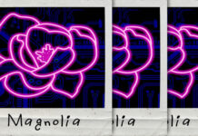 Paulino Monroy Estrena Su Nuevo Sencillo "Magnolia"