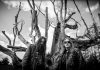 Darkthrone Presenta "Hate Cloak" Único Adelanto De Su Próximo Álbum "Eternal Hails"