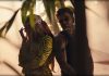 Sofia Reyes Presenta Su Nuevo Sencillo Y Video "Casualidad" Pedro Capó