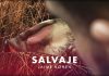 Jaime Kohen Presenta Su Nuevo Sencillo "Salvaje"