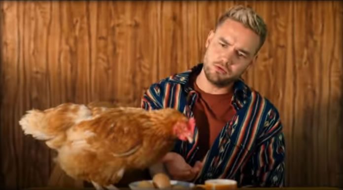 Liam Payne Presenta Su Nuevo Sencillo Y Video “Sunshine” Liam Payne Presenta Su Nuevo Sencillo Y Video "Sunshine"