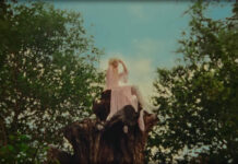 Carly Rae Jepsen Estrena Su Nuevo Sencillo Y Video “Western Wind” Carly Rae Jepsen Estrena Su Nuevo Sencillo Y Video "Western Wind"