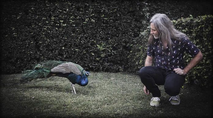 Pink Mountaintops Estrena Su Nuevo Sencillo “Nikki Go Sudden”