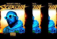 Sean Paul Regresa Con Un Nuevo Álbum: "Scorcha"