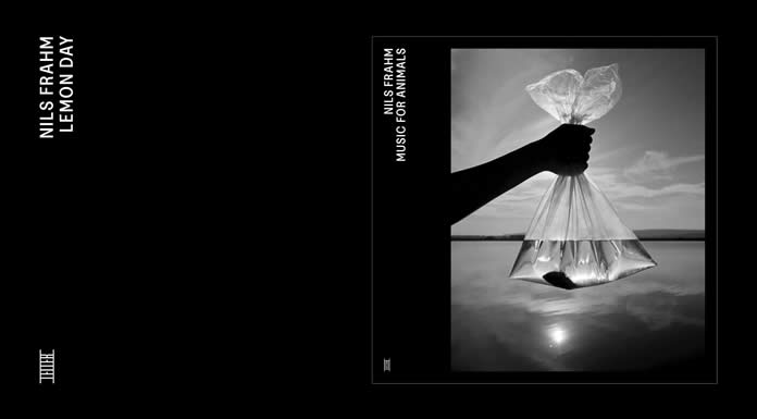 Nils Frahm Presenta Su Nuevo Sencillo: "Lemon Day" Y Confirma Su Álbum "Music For Animals"