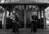 Taoreta Estrena Su Nuevo Sencillo Y Video: "Samurai Nation"