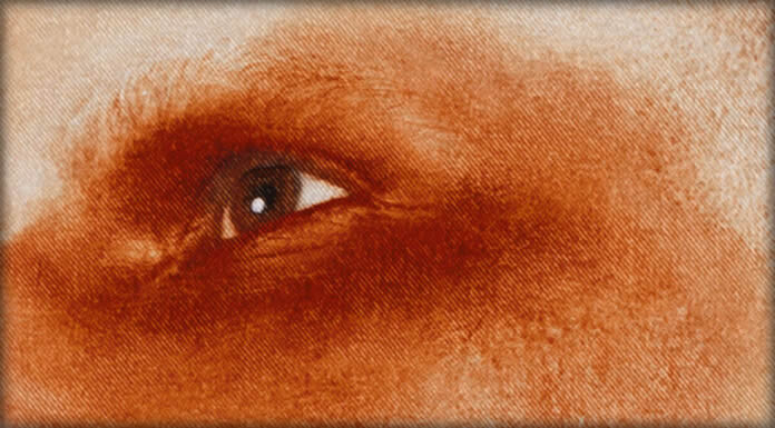 Linxes Presenta Su Nuevo Sencillo: “Inevitable”