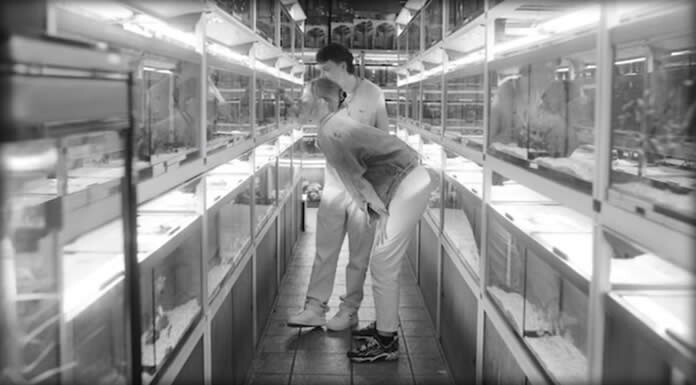 Suede Presenta: “Autofiction – A Short Film” Un Cortometraje Adelanto De Su Próximo Álbum “Autofiction” Suede Presenta "Autofiction - A Short Film" Un Cortometraje Adelanto De Su Próximo Álbum "Autofiction"