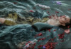 Nicki Wells Estrena Su Nuevo Sencillo Y Video: "Carry On"