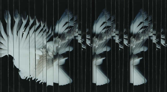 SCALER - Endlessly @pipilopop