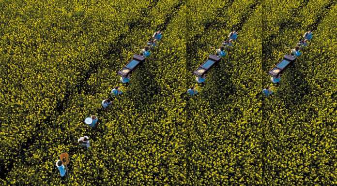 Pavey Ark - More Time, More Speed